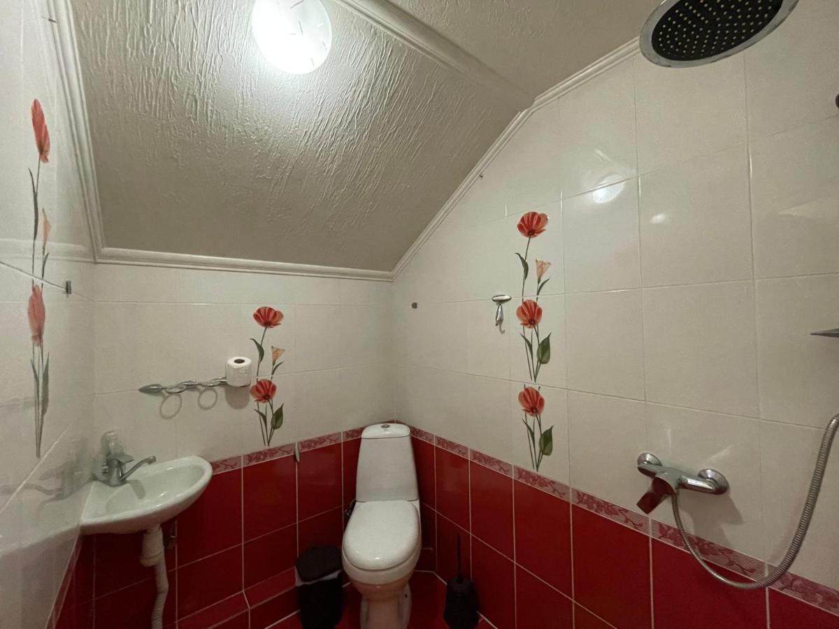 Villa Aeroport Розовый Дом キシナウ エクステリア 写真